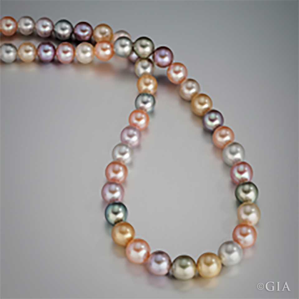 Natural-Colored Cultured Pearls