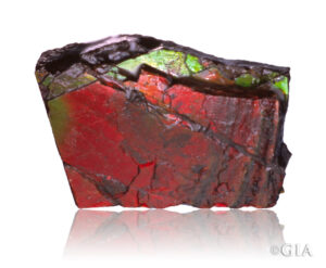 Ammolite