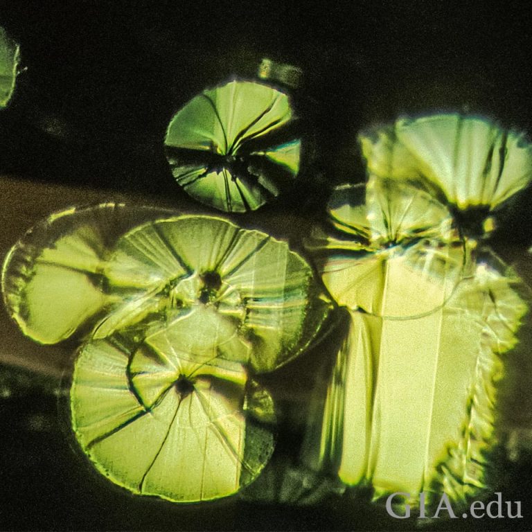 ‘Lily pad’ inclusions found in peridot GIA 4Cs