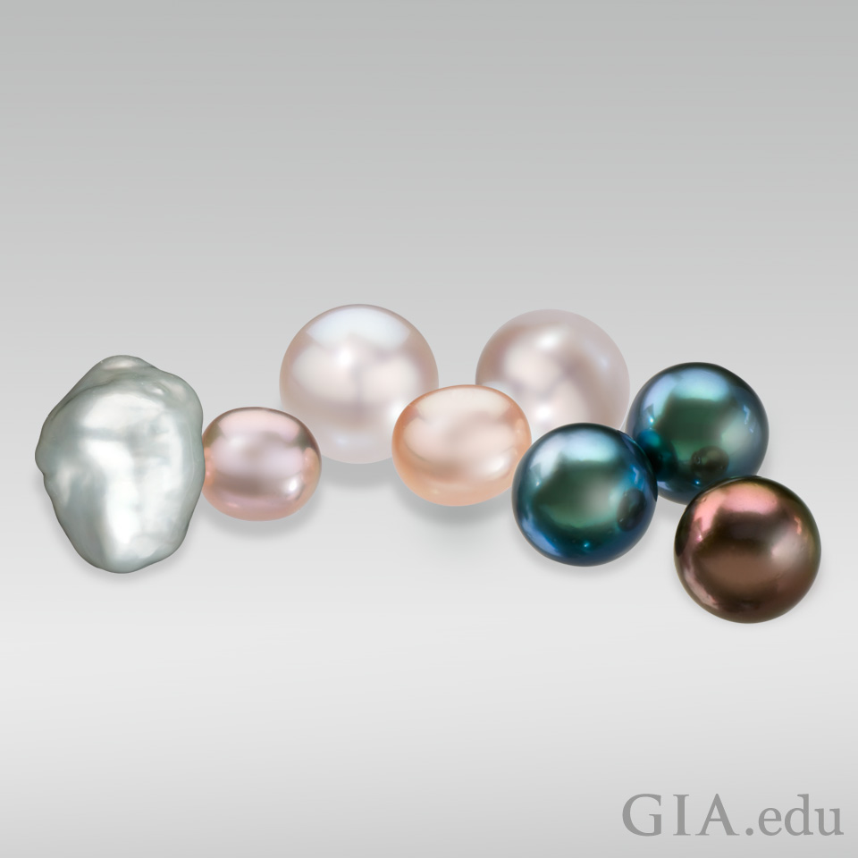 Array of cultured pearls