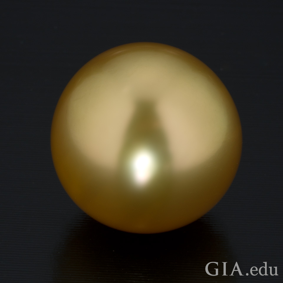 16毫米的金色南洋养殖珍珠