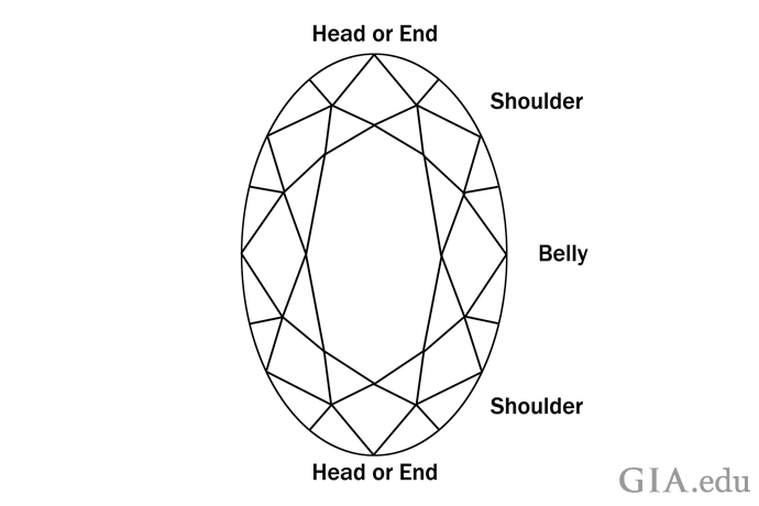 An illustration showing the anatomy of an oval diamond