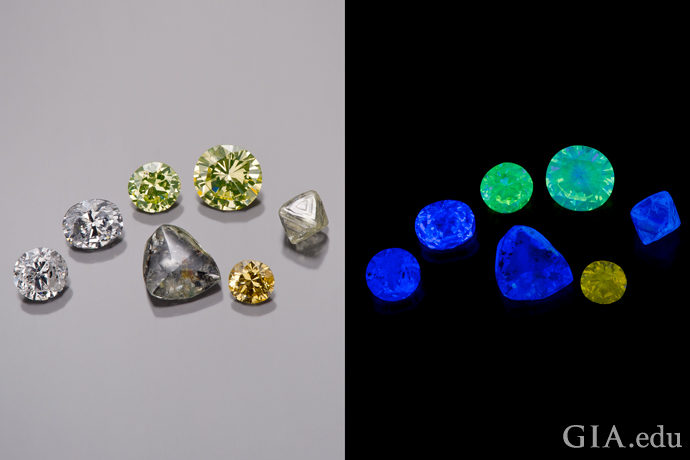 A group of seven diamonds shown under daylight-equivalent illumination (left) and exposed to long-wave UV irradiation (right).