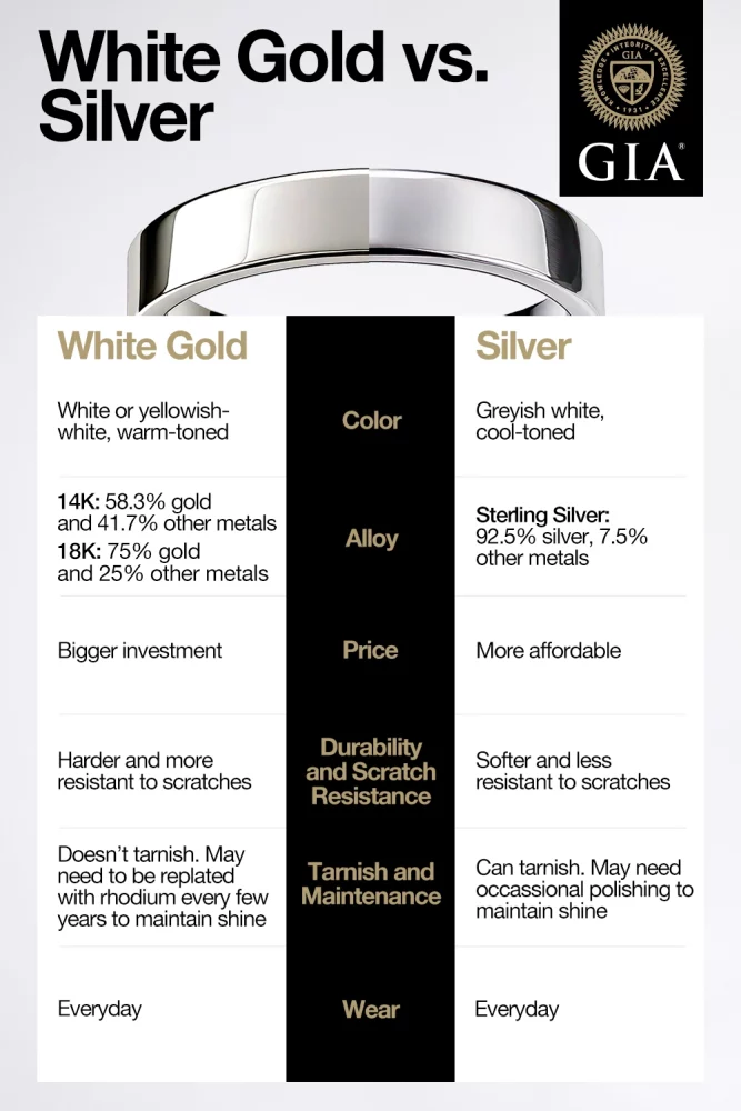 white gold vs silver infographic